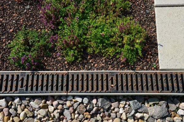 Cost of Landscaping Drainage Installation in Georgetown