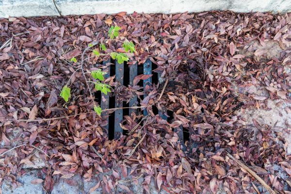Cost of Yard Drain Unclogging in Georgetown