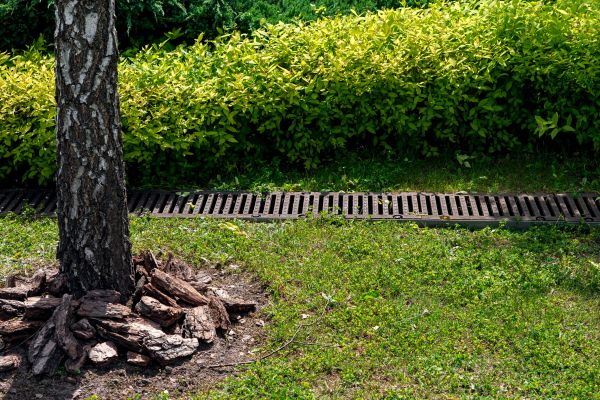 Cost of Yard Water Redirection in Georgetown