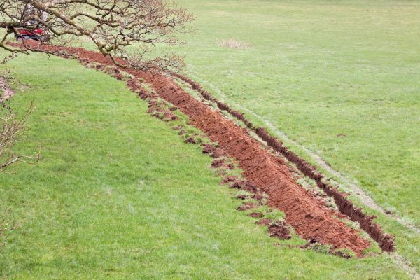 Cost of Swale Installation in Georgetown