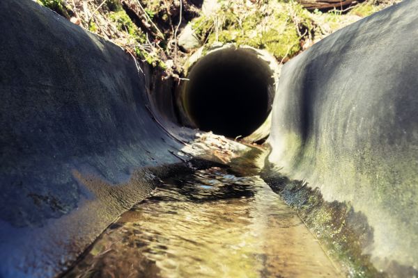 Cost of Drainage Swale Installation in Georgetown