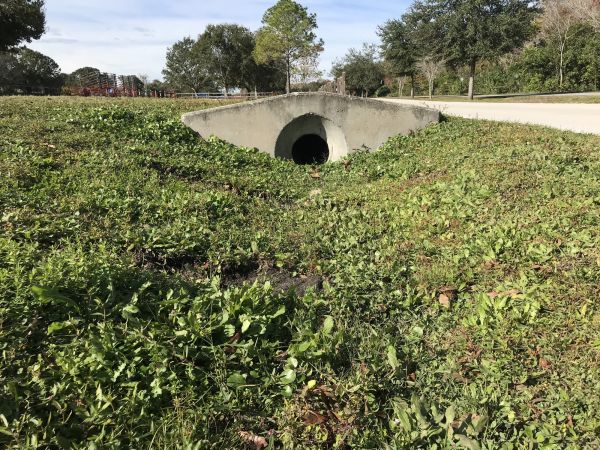 Cost of Swale Drainage Service in Georgetown